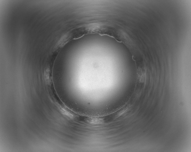 X0000067900670200604131356