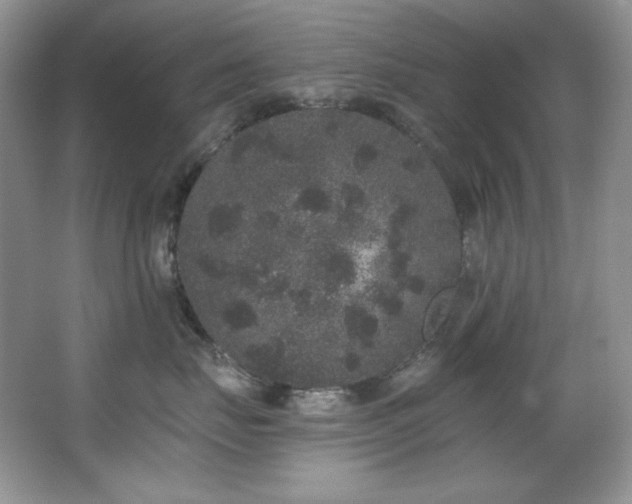 X0000067900671200604131356