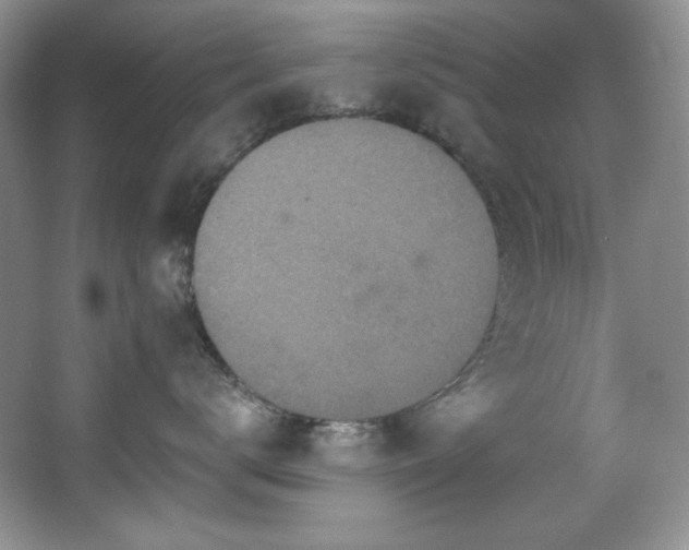 X0000067900672200604131356