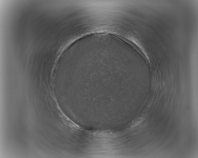 X0000067900673200604131355