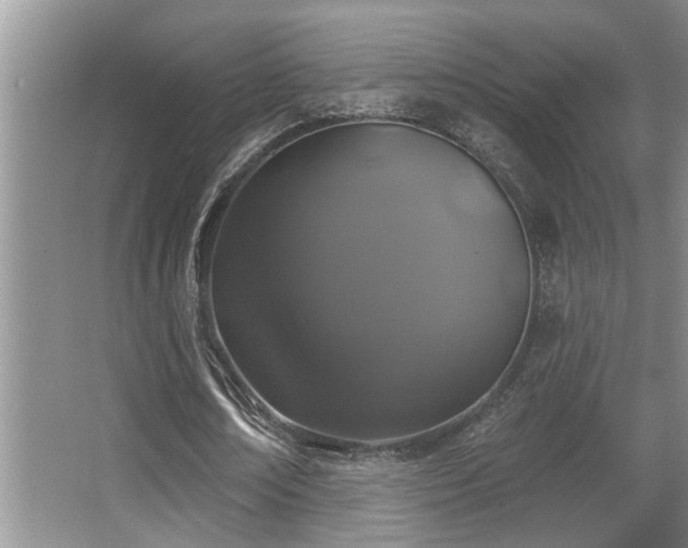 X0000067900674200604131355