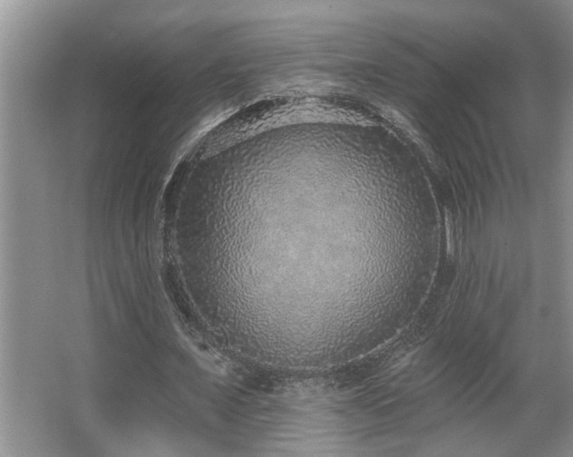 X0000067900675200604131355