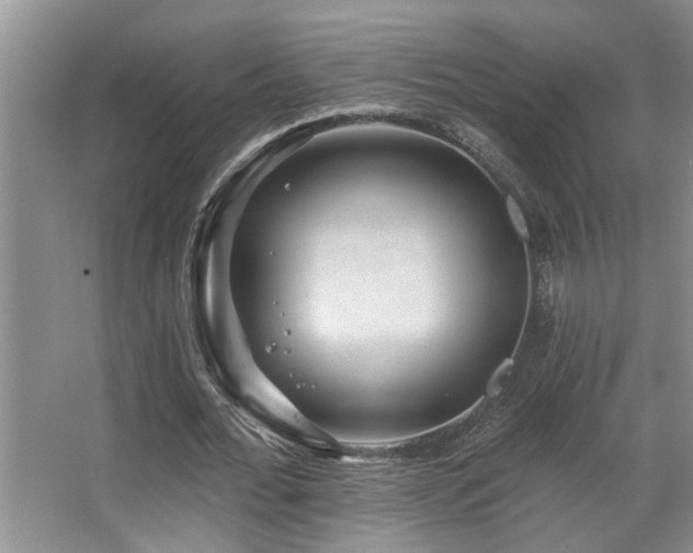 X0000067900676200604131355