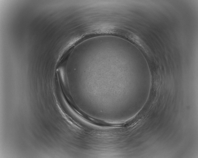 X0000067900677200604131355