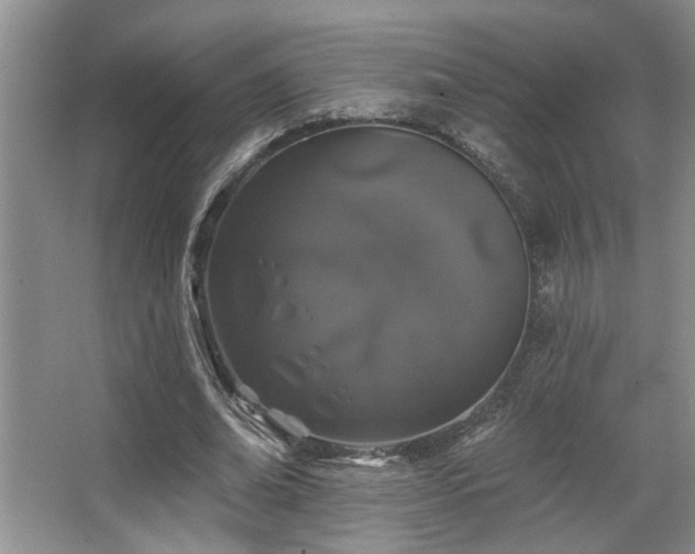 X0000067900678200604131355