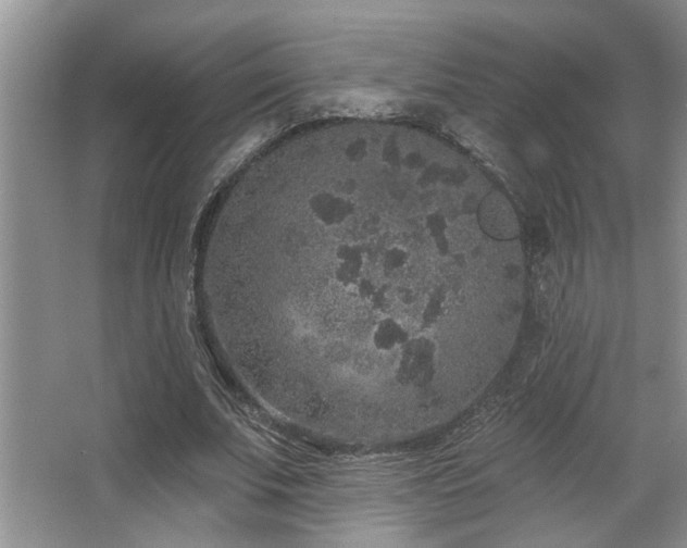 X0000067900679200604131355