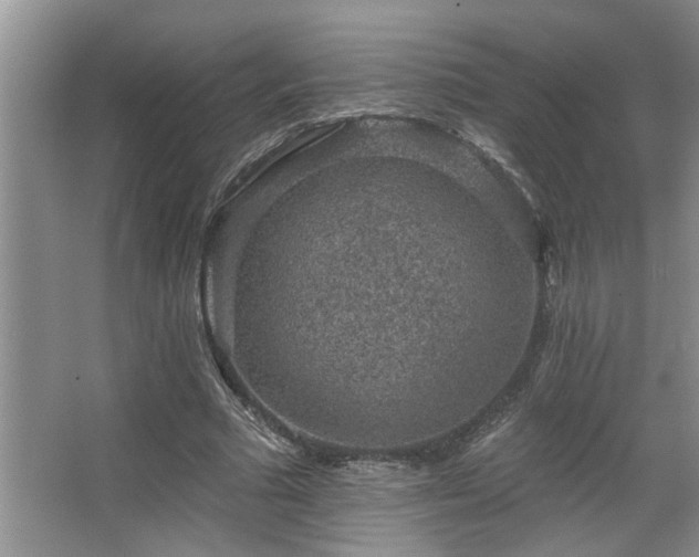 X0000067900681200604131355