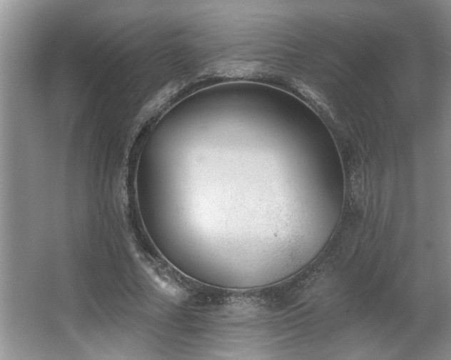 X0000067900682200604131355