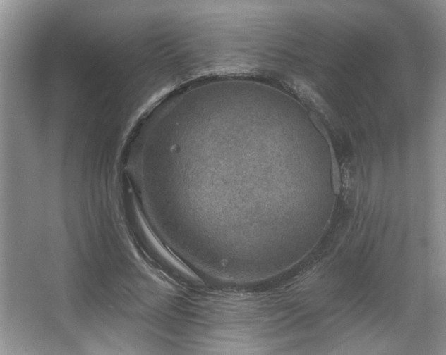 X0000067900684200604131355