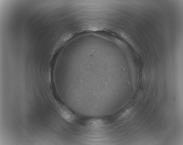 X0000067900685200604131355