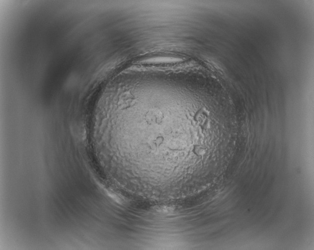 X0000067900687200604131355