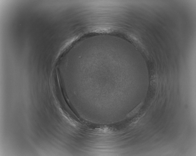 X0000067900688200604131355