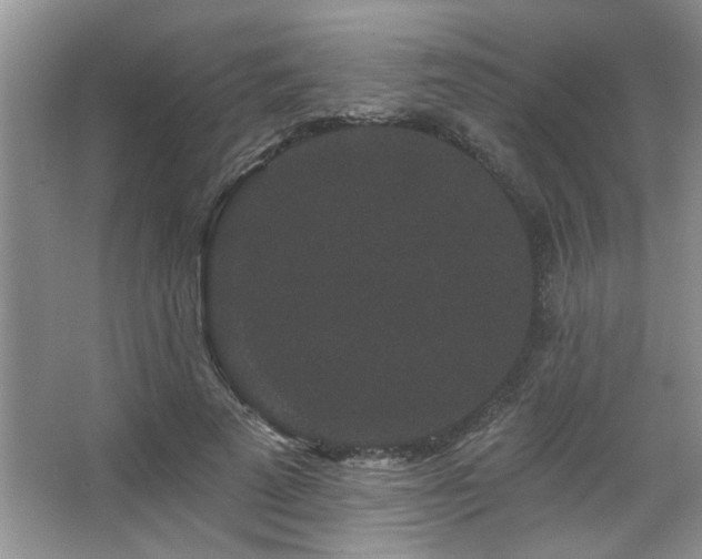 X0000067900689200604131355