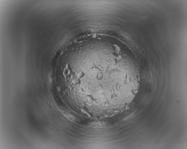 X0000067900691200604131355