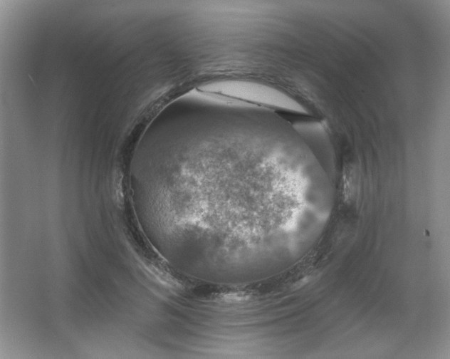 X0000067900692200604131355