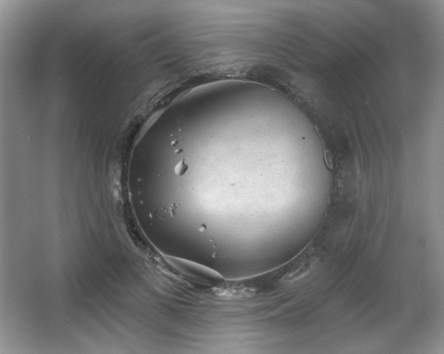 X0000067900693200604131355