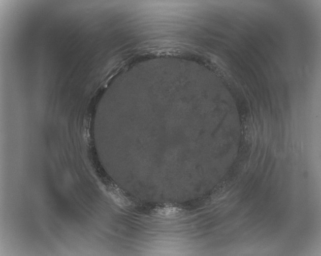 X0000067900695200604131355