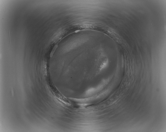 X0000067900696200604131355