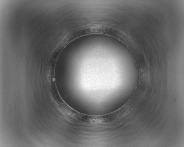 X0000067900698200604131354