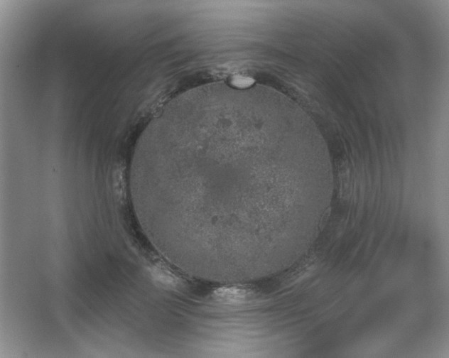 X0000067900699200604131354