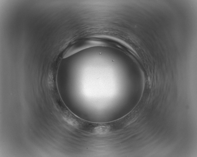 X0000067900700200604131354