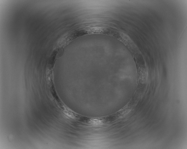 X0000067900701200604131354