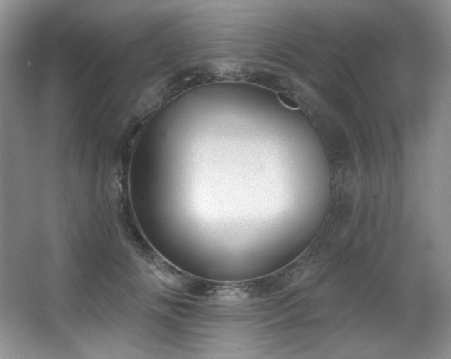 X0000067900702200604131354