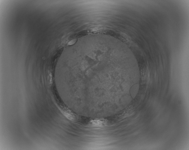 X0000067900703200604131354