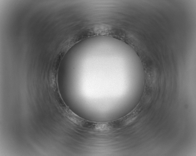 X0000067900705200604131354