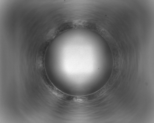 X0000067900706200604131354