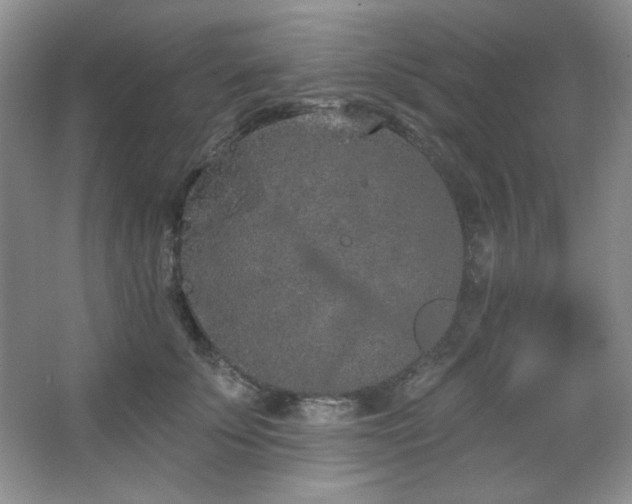 X0000067900707200604131354