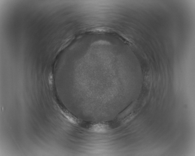 X0000067900708200604131354