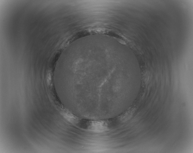 X0000067900709200604131354