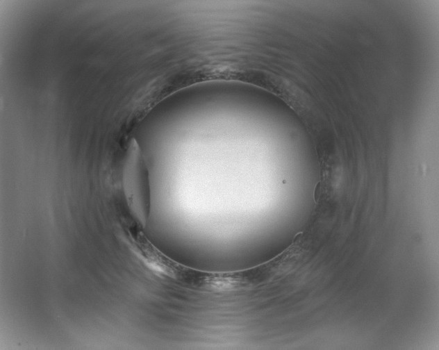 X0000067900710200604131354