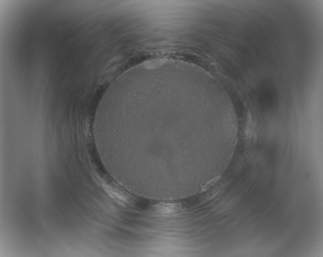 X0000067900711200604131354