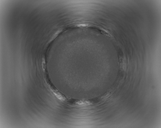 X0000067900712200604131354