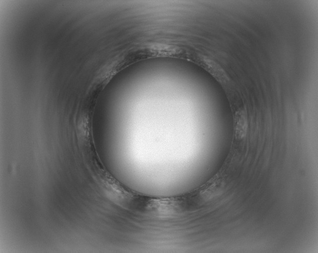 X0000067900713200604131354