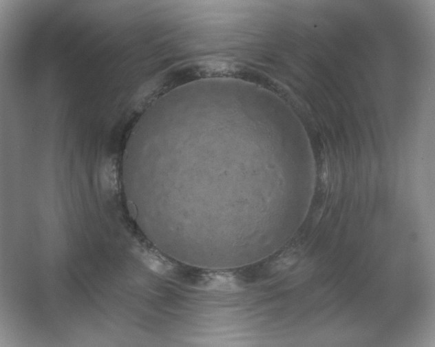 X0000067900715200604131354