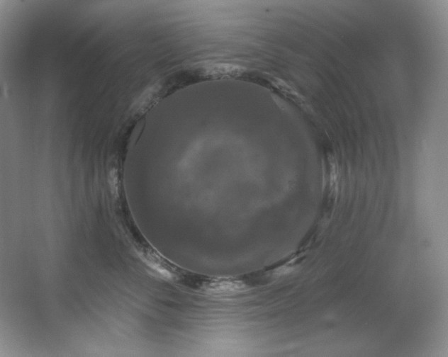 X0000067900716200604131354