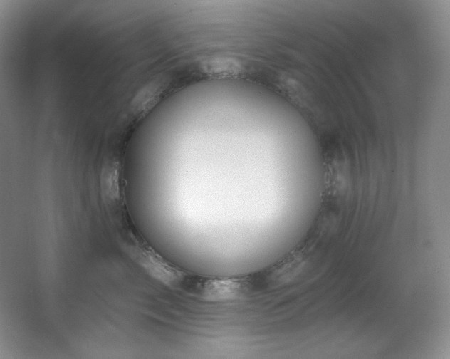 X0000067900717200604131354