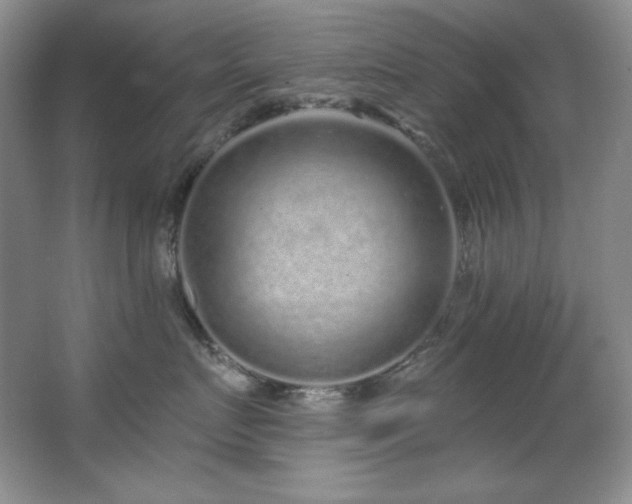 X0000067900719200604131354