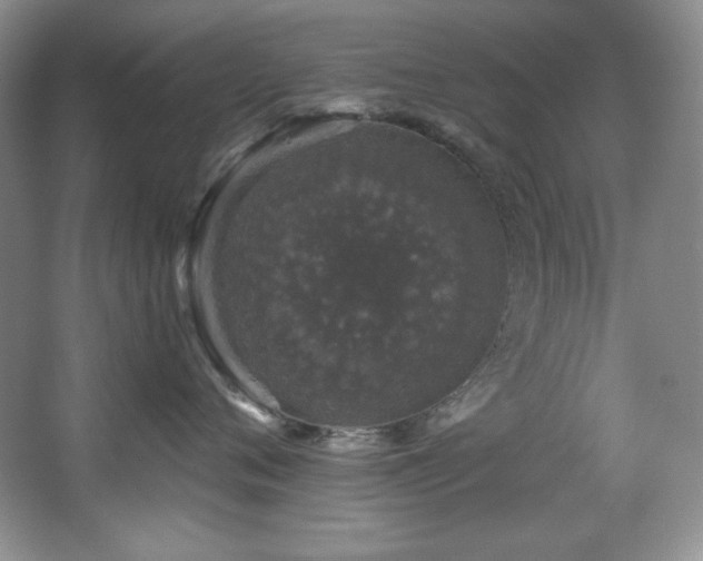 X0000067900720200604131354