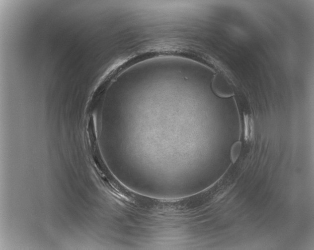 X0000067900723200604131353