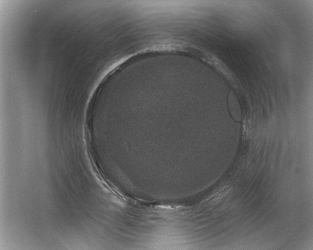 X0000067900724200604131353