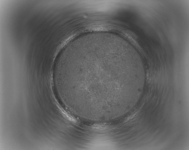 X0000067900725200604131353