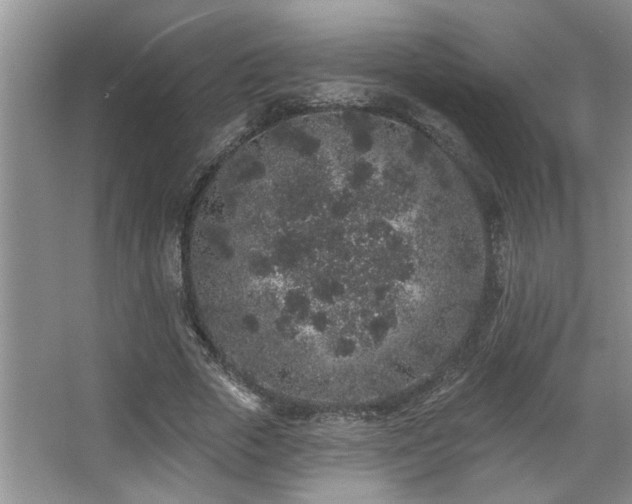 X0000067900729200604131353