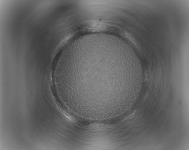 X0000067900733200604131354