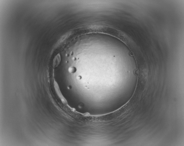 X0000067900734200604131354