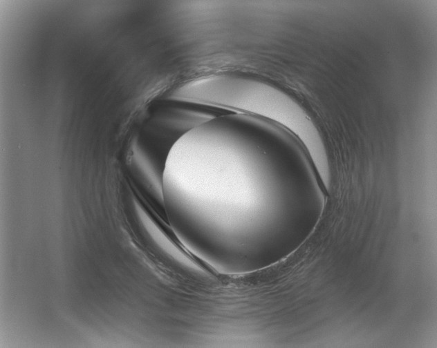 X0000067900735200604131354