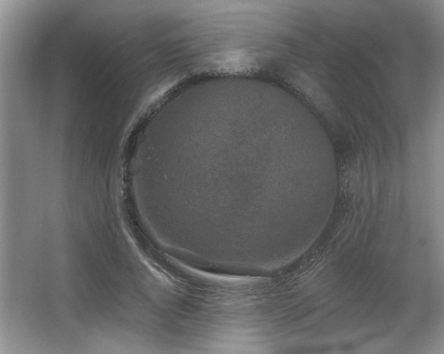 X0000067900736200604131354